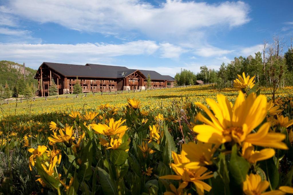 Daniels Summit Lodge Wallsburg Bagian luar foto